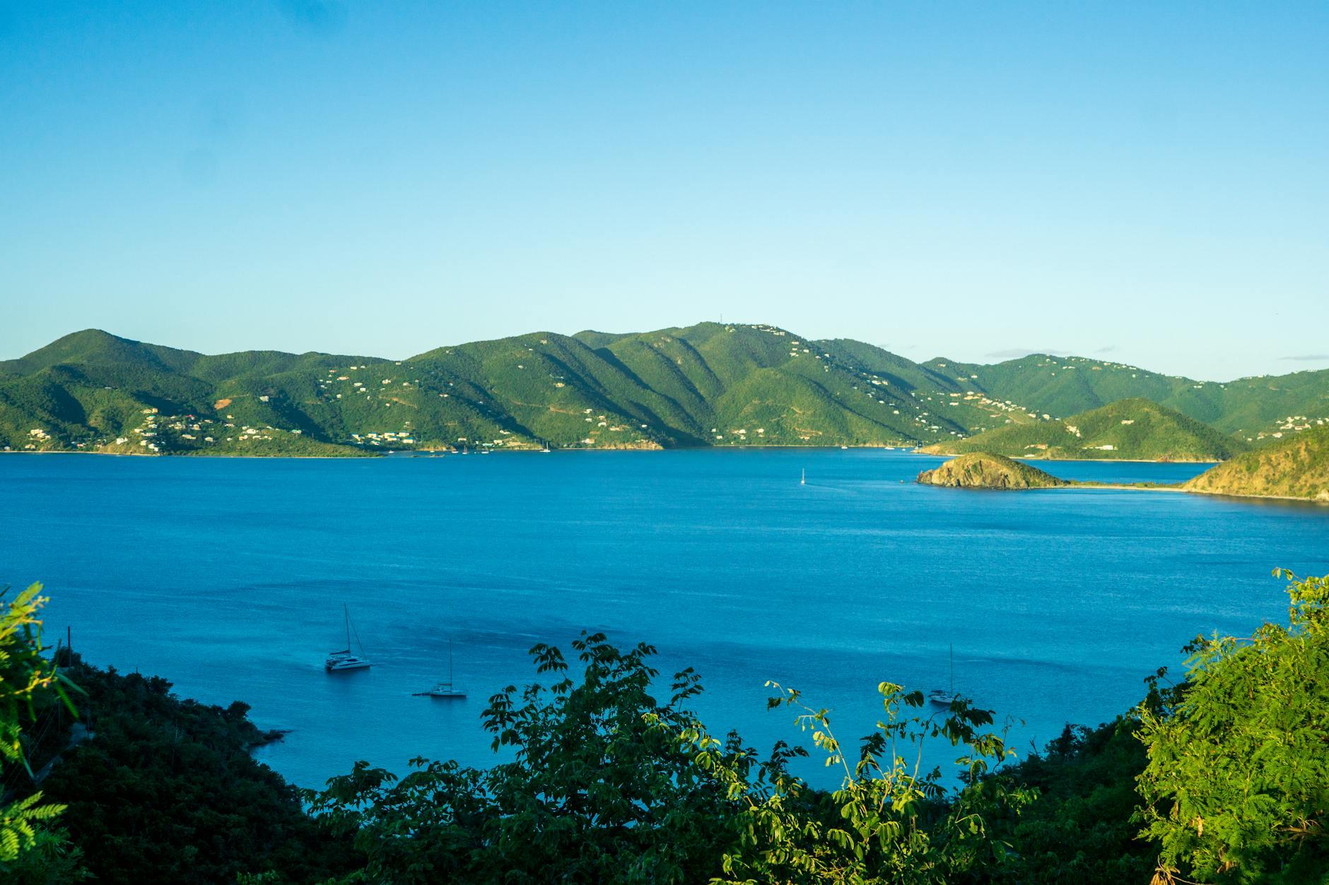Restoring a Company in the British Virgin Islands: A Step-by-Step Guide