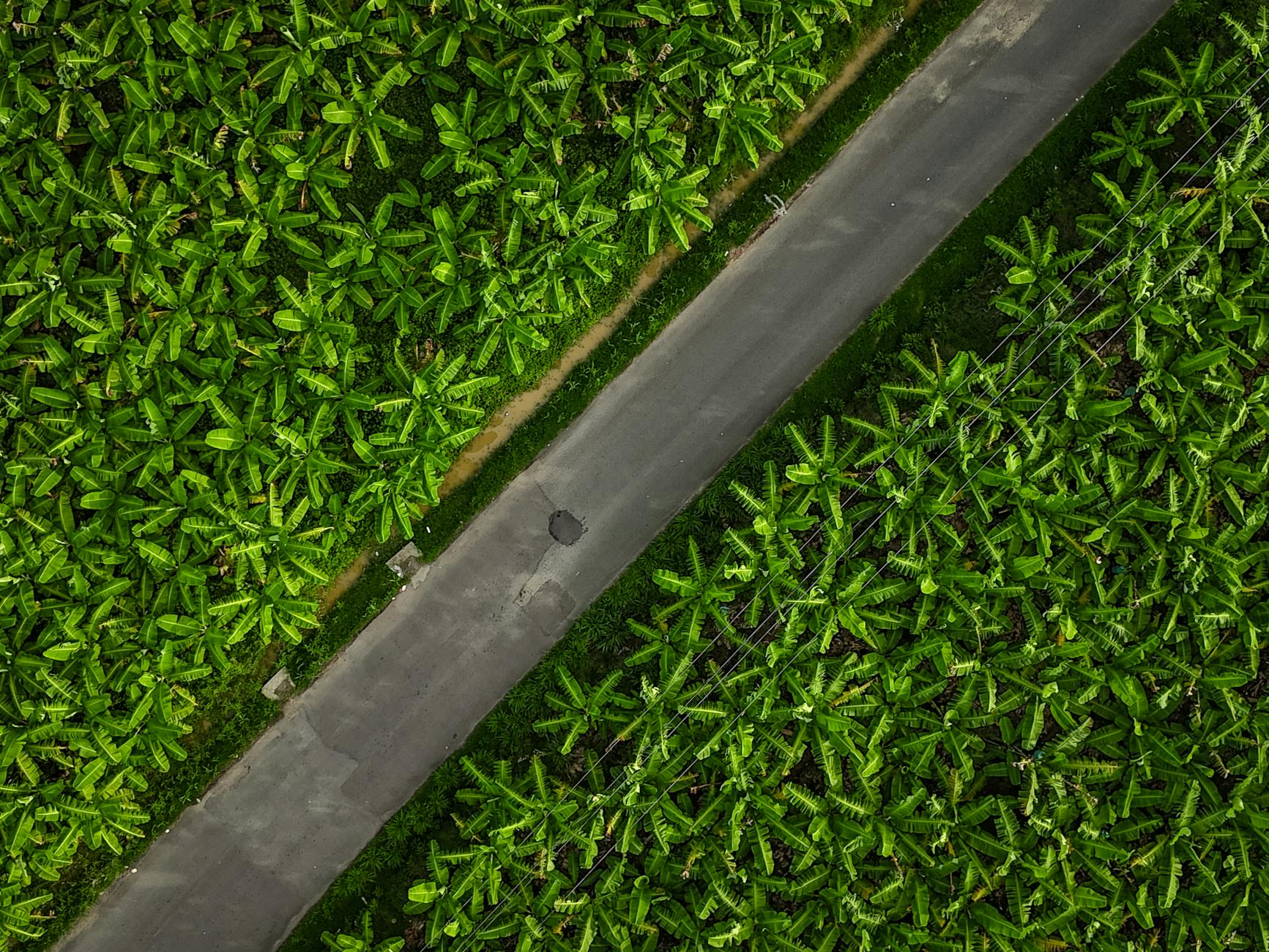 Arbitration vs. Litigation: Resolving Offshore Financial Disputes