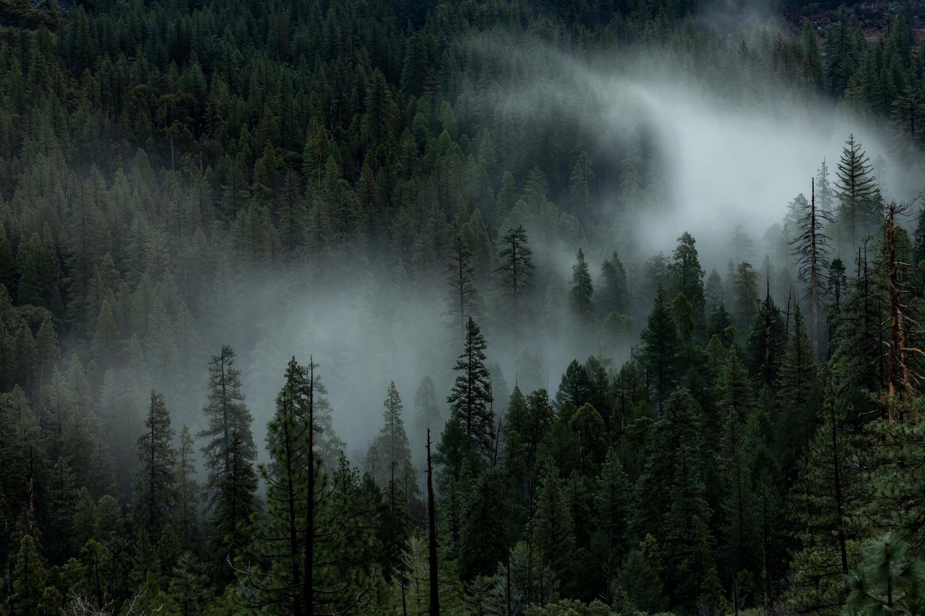 Tracing Hidden Assets: Leveraging Offshore Disclosure Rules