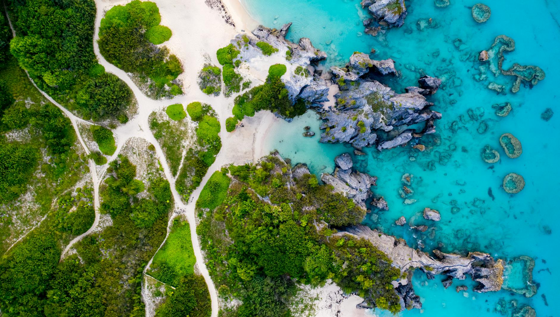 Restoration of Struck-Off Companies in Bermuda